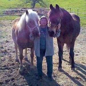 horses